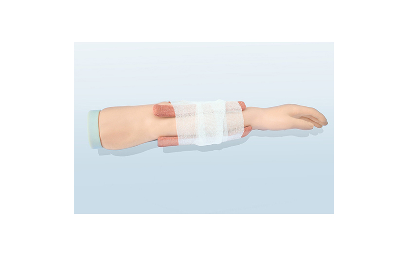 H340 前臂骨折处理训练模型